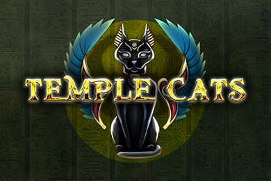 Templecats играть в Лекс Казино